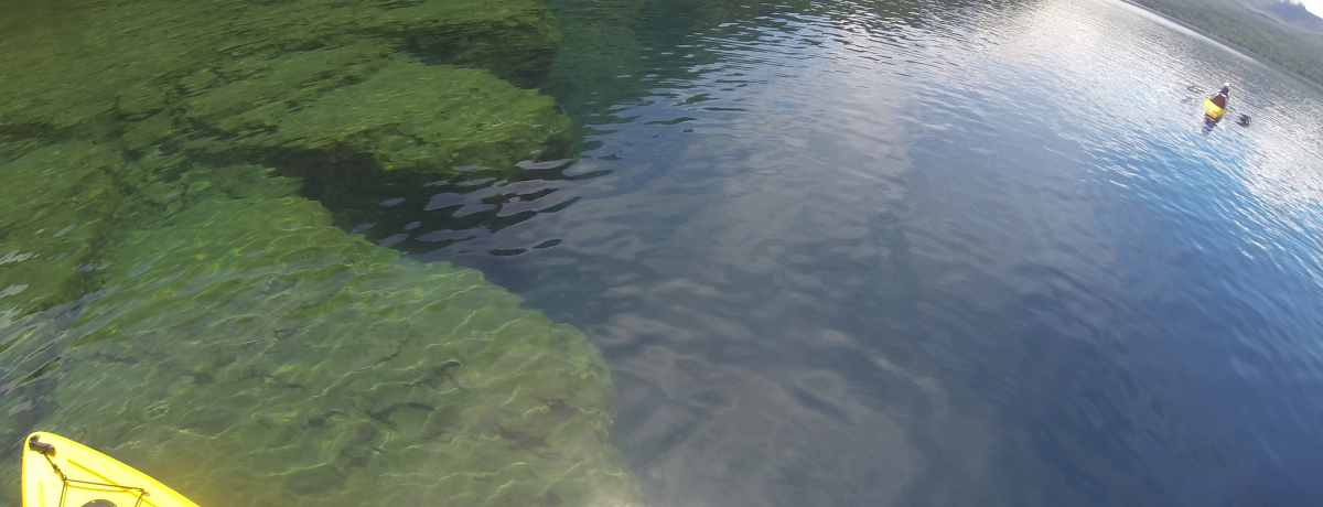 WNA{̎x┌΂یINAJbNœ鐅Tɏo悤I