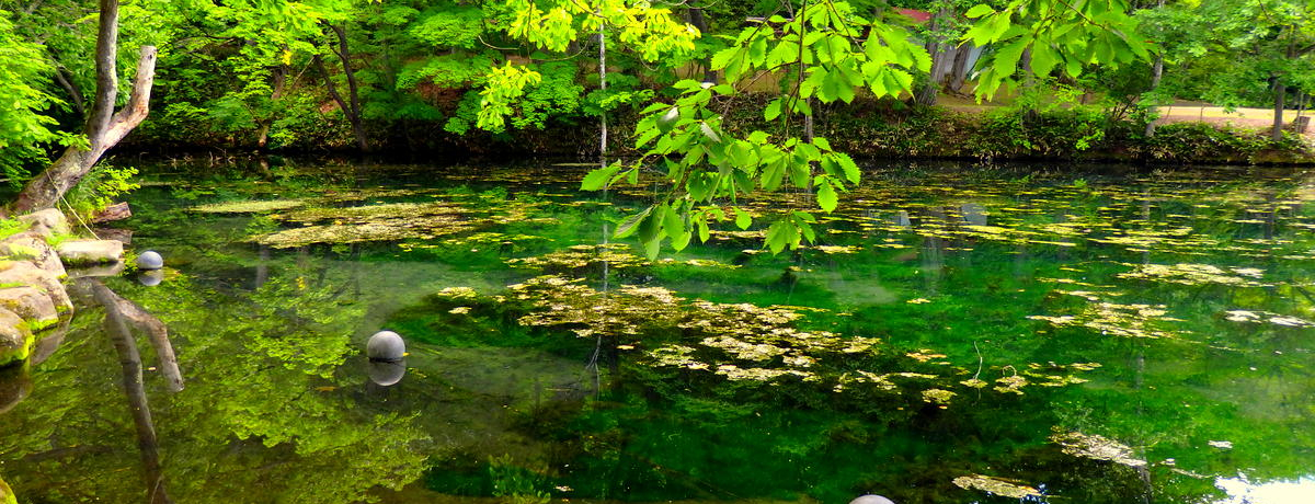 x_[IWȍ~xǖiX|bg܂Ƃ