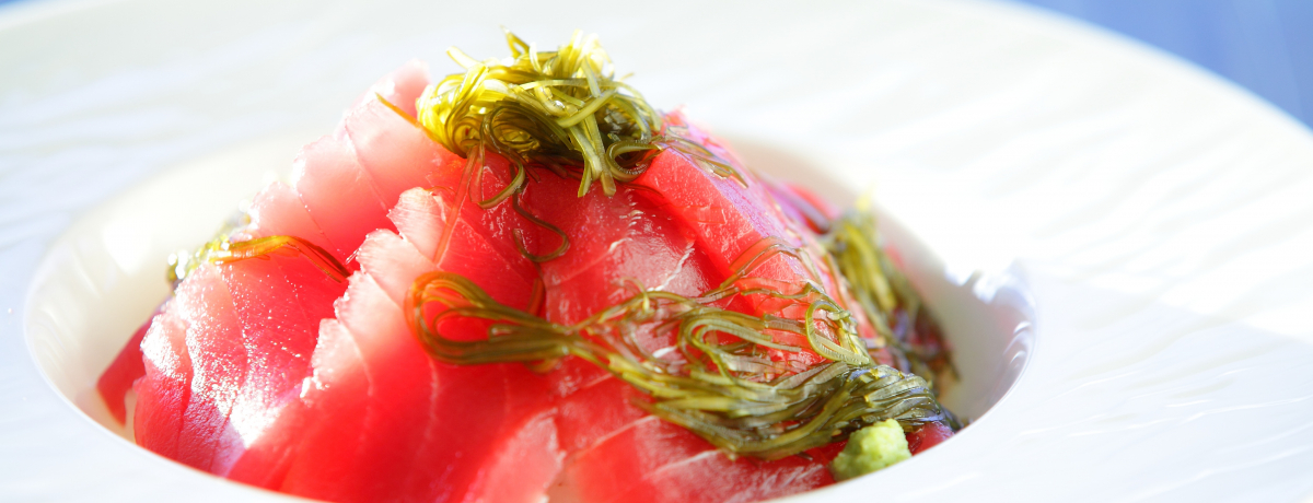 ͋`!?샊][g@g}unṽrbtF͋̑NxƑ務̐I