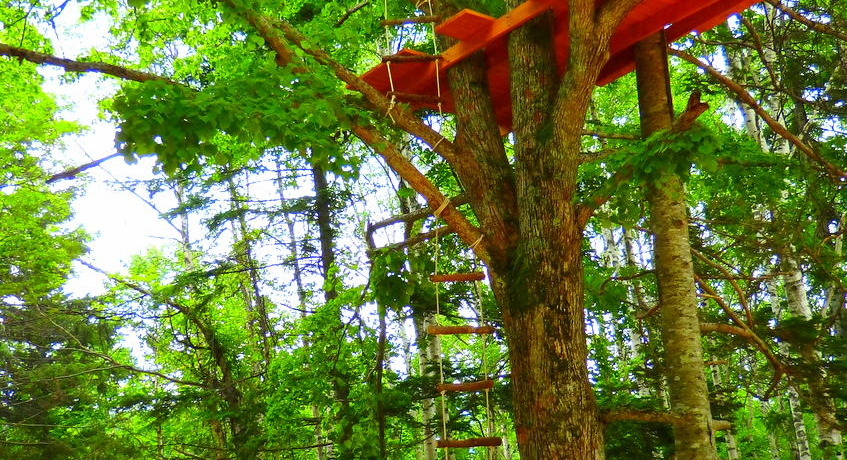 ���샊�]�[�g�@�g�}���u�A�h�x���`���[�}�E���e���v�Ŏq���ƈꏏ�Ɏ��R���삯���낤�I