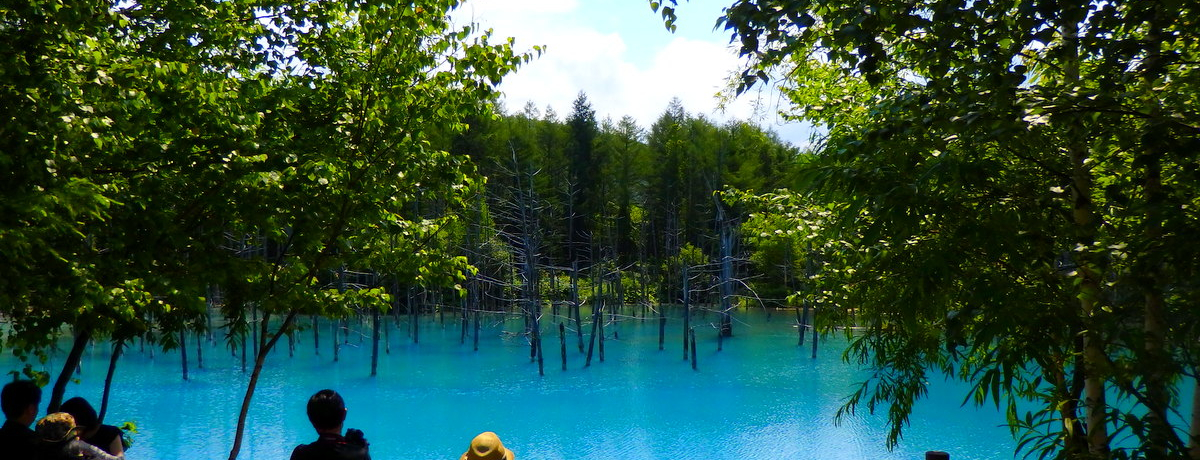 ͕֗ỈwɂȂĂluzej[v͊ό̋_ɃxXgȃze