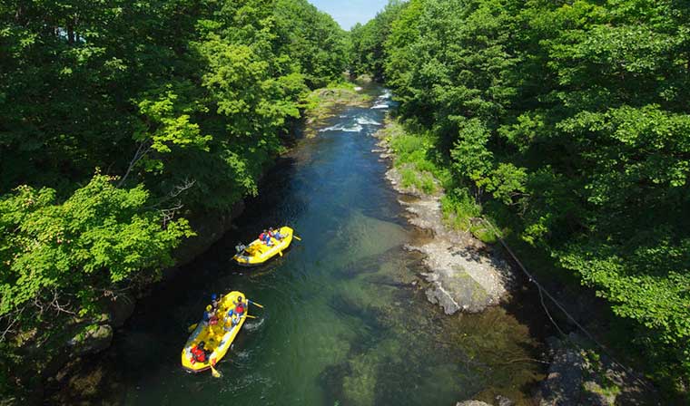 샊][g@g}EẴANeBreBTIIkCŉċx݂y