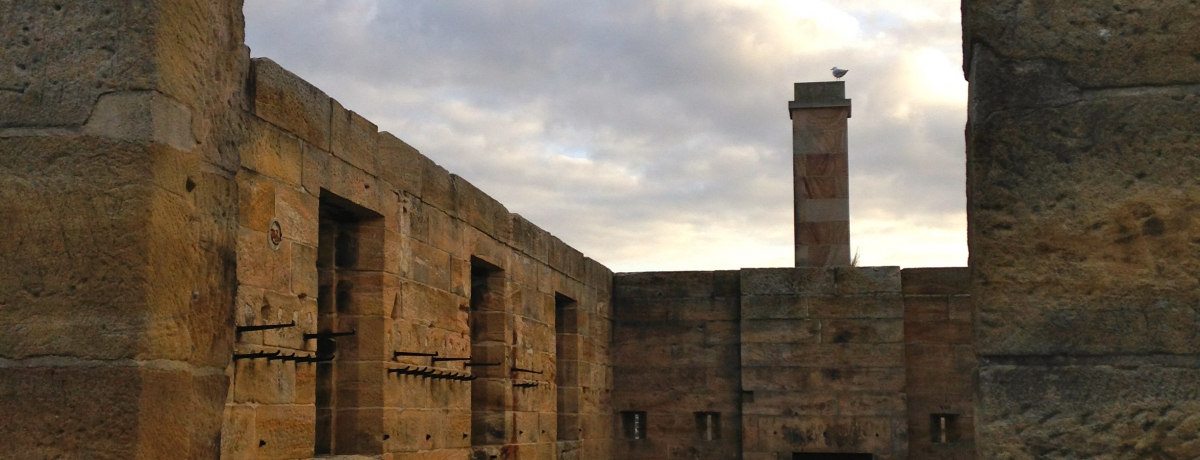 �I�[�X�g�����A�̌R�͓��H�I���E��Y�̃R�J�g�D�[���ŒT�����悤