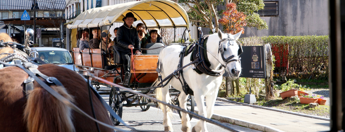 Rz@ȂhĂ݂悤IpbJpbJƒҔnԂő厩RɗnށI