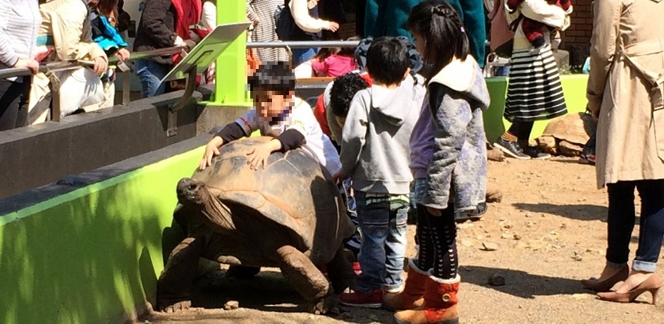 �]�E�K���ɏ���I�ɓ��E�̊��^�������u���y�n�n�v������!!