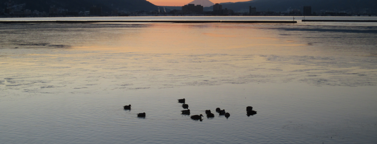 �z�K�΂P���W���M���O�ɒ���I�S�[���͐_��̃p���[�X�|�b�g�E�z�K��ЁI