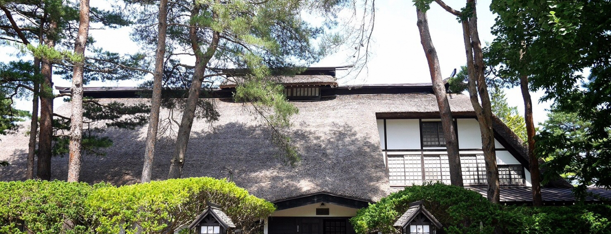 ���������̓암�ȉ��ŌÖ��Ƃ̓c�ɂ��V�I�u���샊�]�[�g �X���v�̋��y�����ɐ��