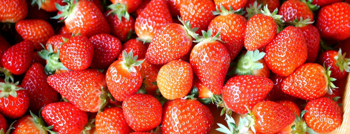 Vi킩񁕂܂Ɋ󏭂ȍʂ̂IʂHׂI