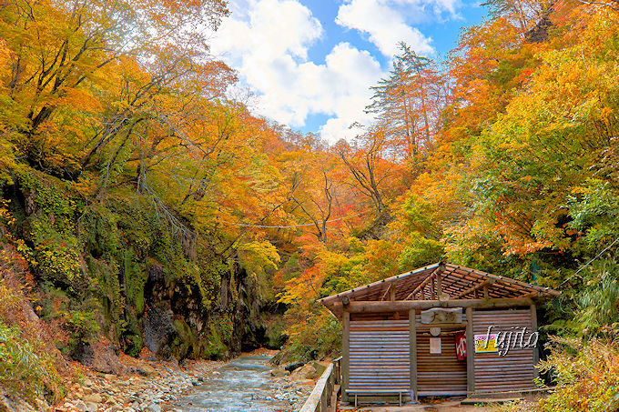 ĖEĖōgtIVCI̔铒͎\