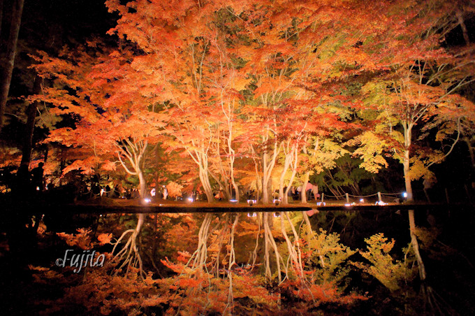 �]�،����̍g�t�̓��C�g�A�b�v�������I�򕌂̍g�t��薼��