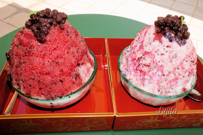 �R�`�E���|���̓`���I�l�C�u�����X�v2019�N���c�ƊJ�n�I