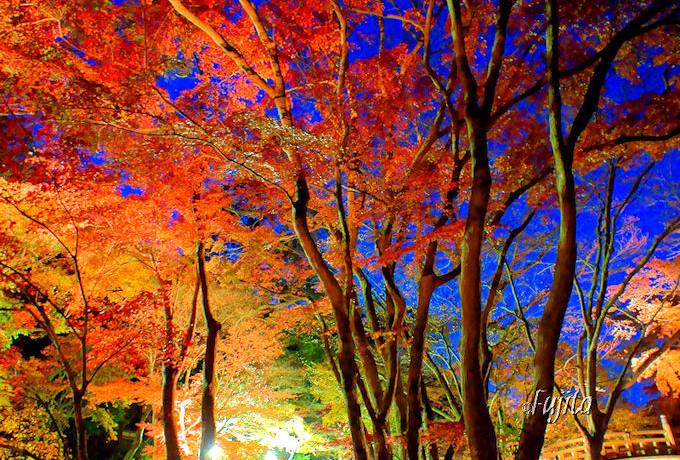 MC̐iόX|bgܑIIԂƍgt̖