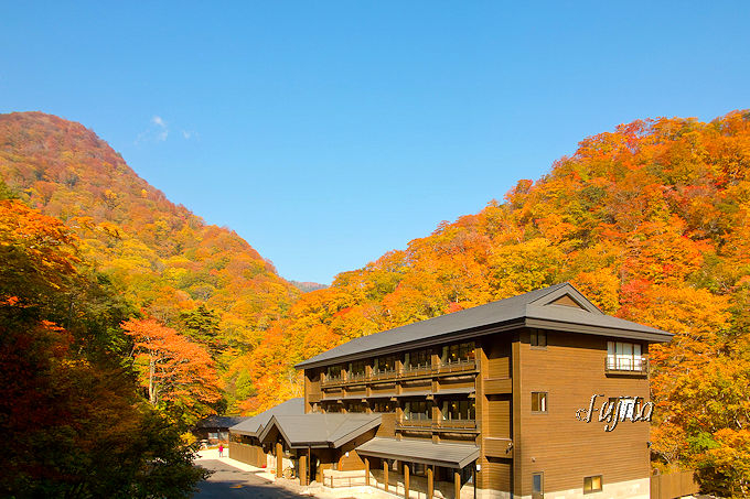 hӂ̑SĂgt̐iI͌SEbq ّ单