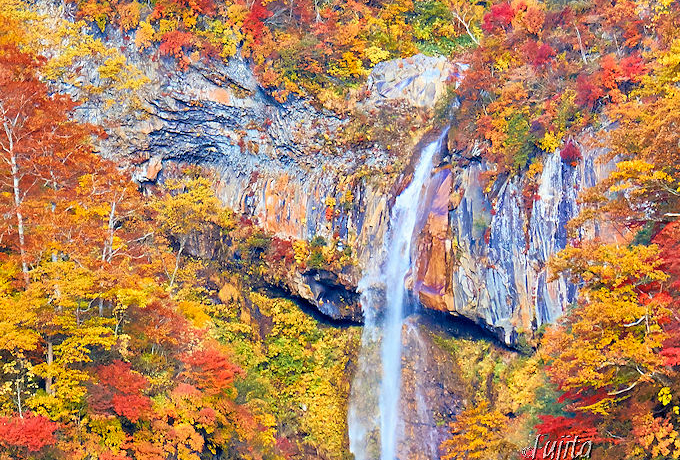 ���������E������̍g�t����i�I�I�V���C����g�t���\