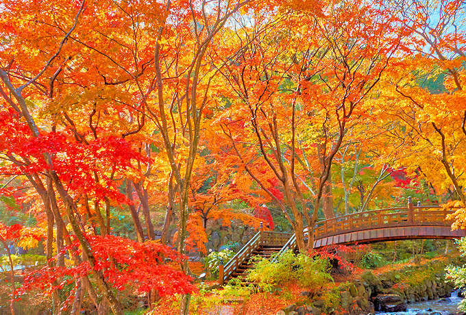 �M�C�~���̍g�t�������I�ɓ��E�M�C����̂������ߍg�t���X�|�b�g