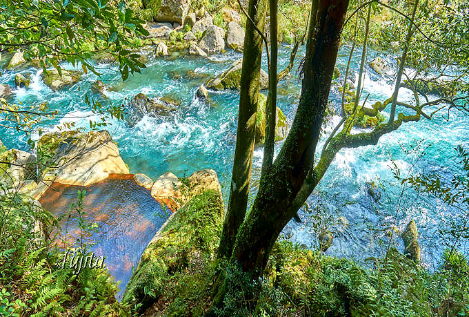 EuΌv͐iIVCƓ{2ʂ̐H]I