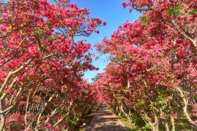 ̃gliIɓsERՂGW