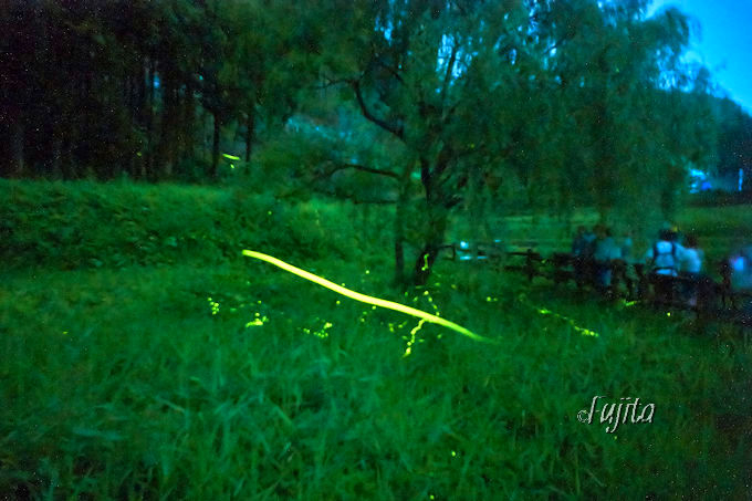 QWƃwCP̌uIQnEz^یnœVR̃z^悤I