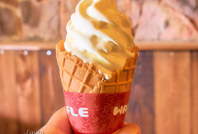 �ߐ{�����̐�i�����n�\�t�g�I�샖�u�q��̃\�t�g�N���[���͓��{��200���̃K�[���W�B�������g�p