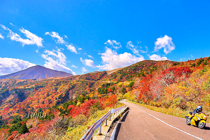 ֒ȃXJCC̍gtIEV̒ōgt