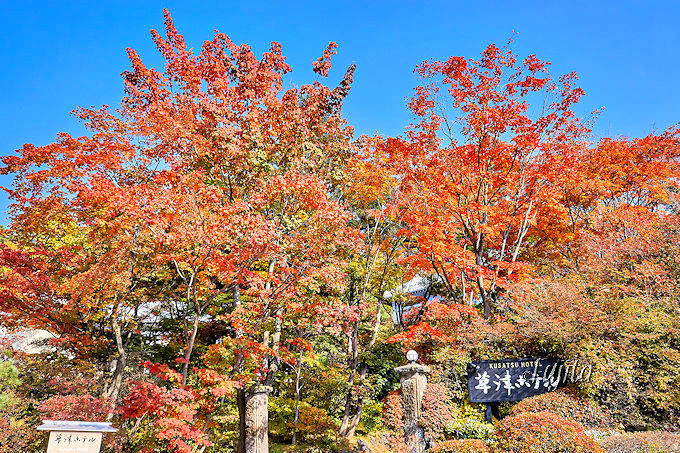 ���É���̍g�t�̓��C�g�A�b�v���K���I����X�̍g�t�������߂T�I