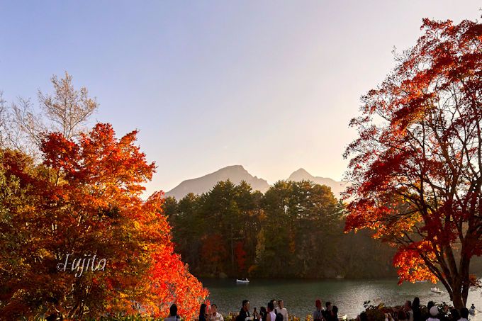 �ܐF���̍g�t�͕K���I���֒�Ń{�[�g��T���H����g�t���