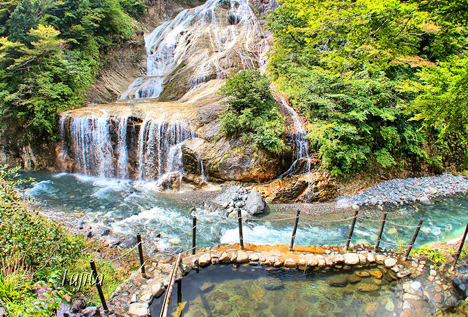 TNԂĊJIΐueJ̓v͓{w̐iIVC