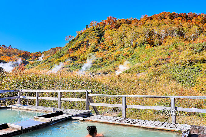 �ӂ��̓�����̍g�t�������I�H�c�E���m���̓��A������ŘI�V���C����g�t���