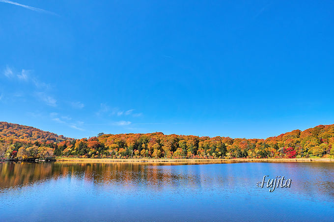 ������g�t�����̒��S�I�H�c�������̉���ōg�t���