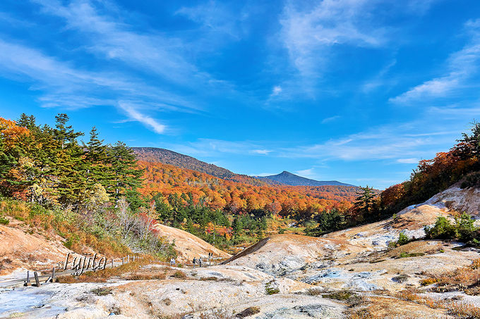 �H�c�������u�㐶�|����v�̍g�t�͎��R�����H���������߁I