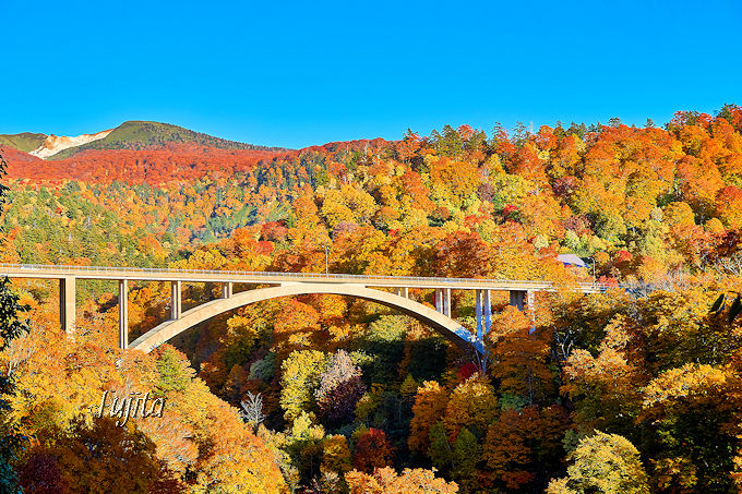 �������̍g�t�x�X�g�T�I�������߂̍g�t��薼���͏H�c����