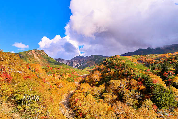 �k�C���E�\���x����ōg�t���I���{�ꑁ���g�t�ɎԂōs����