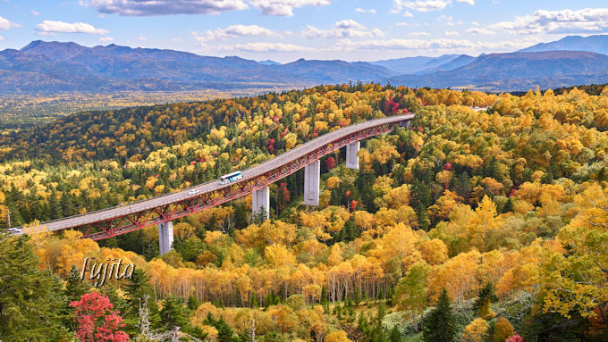 kCEmy̍gtTIIO̐iƐnIbpCRōgt