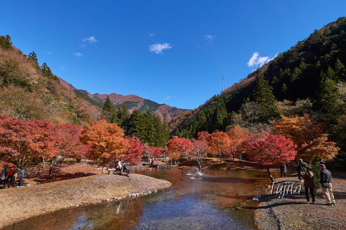 ̍gt͏aؑȎɁIÉ̔铒ōgt