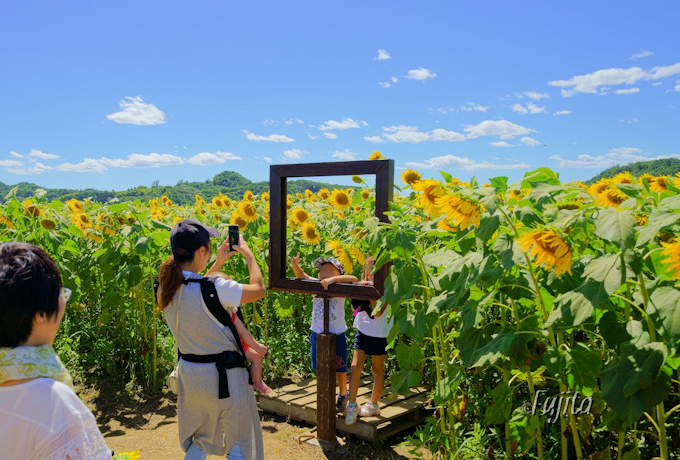 �Ȗ؁E�v�q�̂Ђ܂��͓E�ݎ��܂Ŗ����I�f����H�v�ő喞��