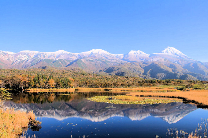 �m���̍g�t���������I�k�C���E�m���܌΂ƒm�����ōg�t���