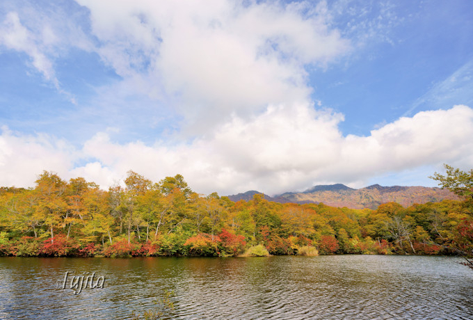 r̍gtIEJ̔铒ōgtnCLO