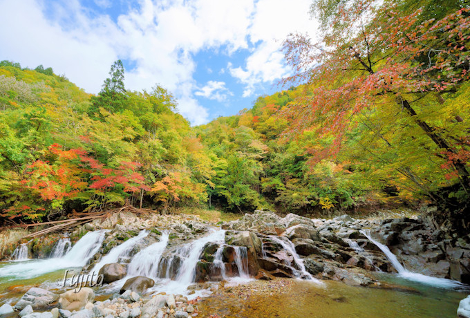 炬X̍gtő厩R𖞋iI򕌁E˂̍gt薼