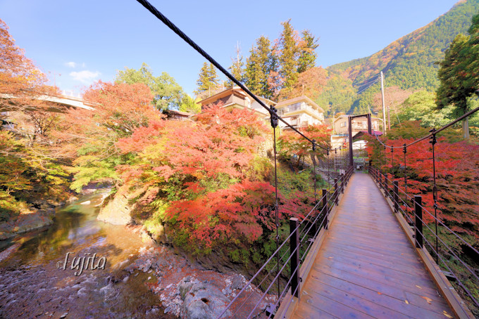 �����E�������̍g�t�T�I�I�g�t���ɂ������߂̌k�J�Ɖ�������