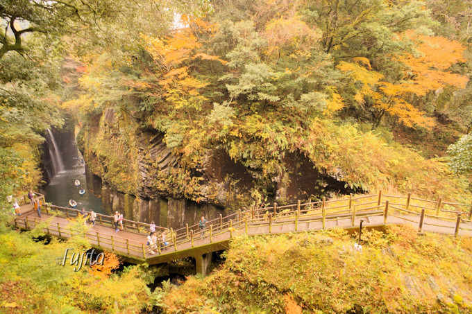 ����䋬�̍g�t�͋{����\���閼���I�V���~�Ղ̒n�ōg�t���