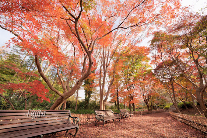 _A̍gt͔ӏH܂ŌIŃỏԌƍgt