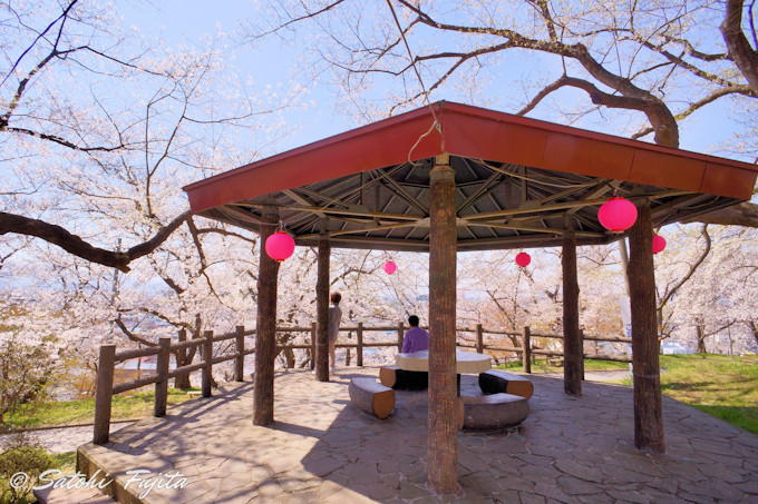 �G�X�q�R�����̐�{���������I�R�`�E�ԓ�����̉Ԍ�����