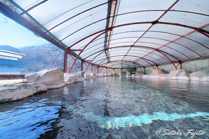 R`E̐̈ꌬhIu̐فv͑IVCƋ