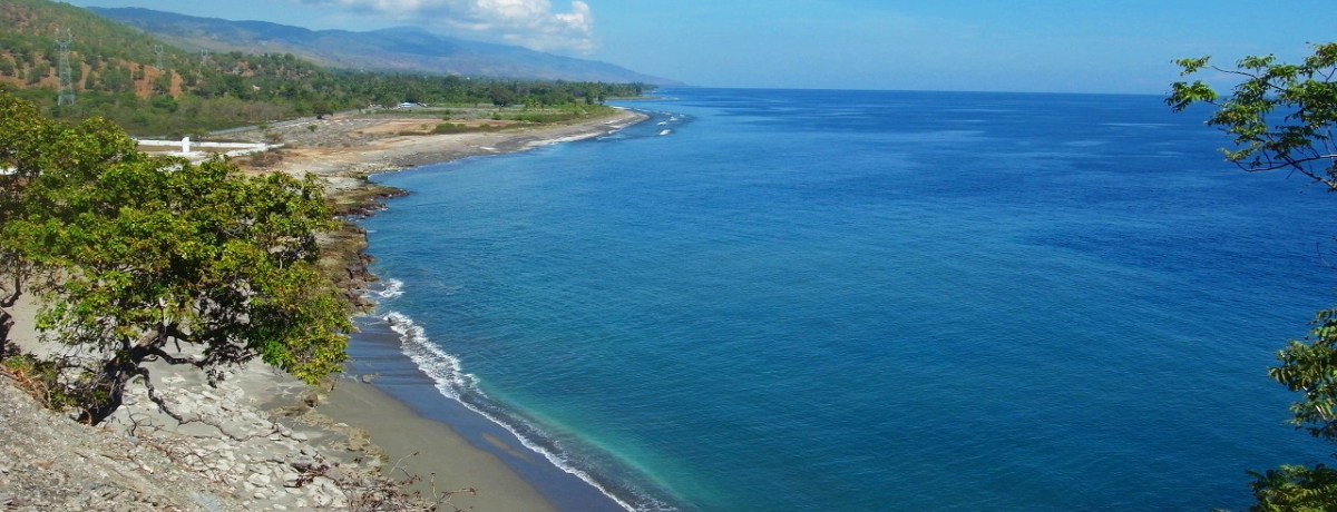 AWA̒mꂴ鏬AeB[𗷂悤I