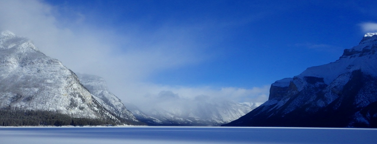 �J�i�f�B�A�����b�L�[�ƕX�������΂̃R���{�Ɋ����I�~�̃~�l�����J�΂̖���