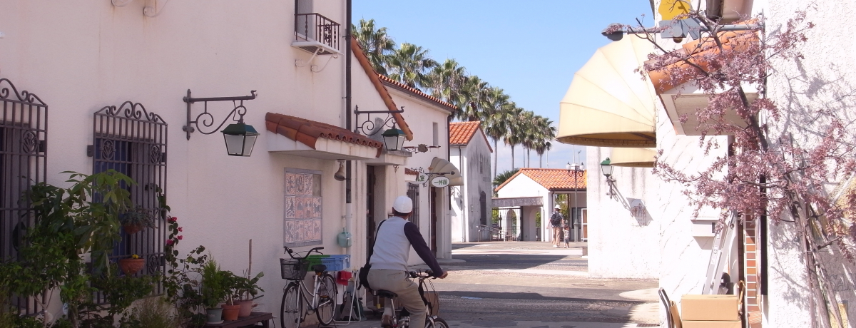 ŗVׂe[}p[NI|[gsAp[N֍sI