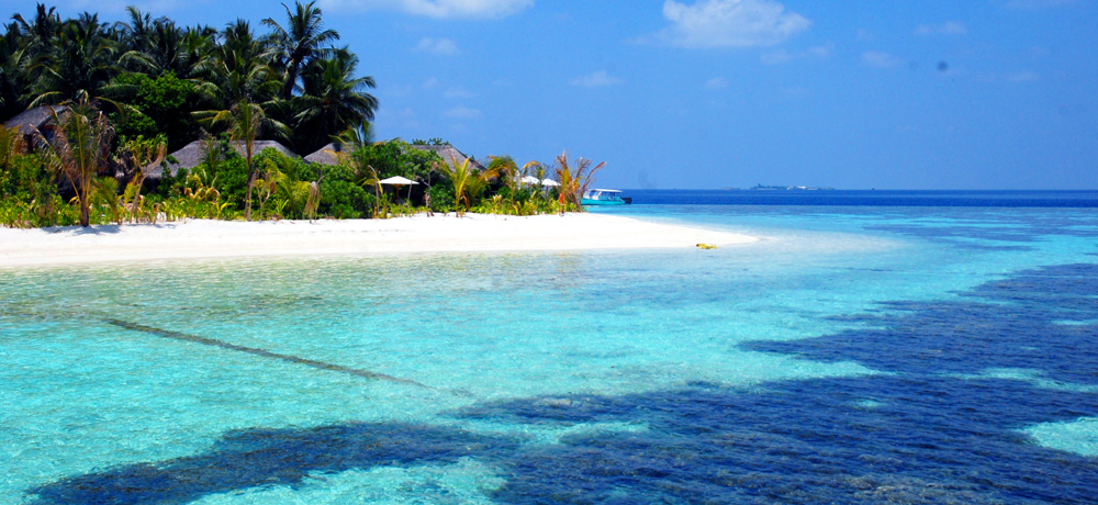 ɃKX̕HfBuBƃ][guJhDv