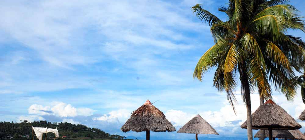 �Z�u�암�́u�o�f�B�A���E�A�C�����h�E���]�[�g�v�ցB�厩�R�Ɉ͂܂ꂽ�A�B��ƃ��]�[�g�Ŗ������I