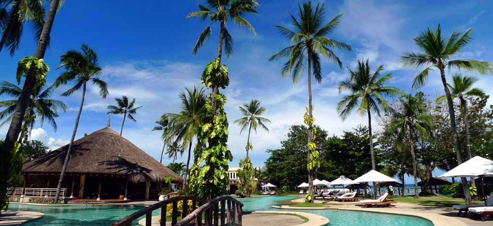 �Z�u���\����ɏナ�]�[�g�u�v���N���v �ԁX�Ɉ͂܂ꂽ�썑�̊y����