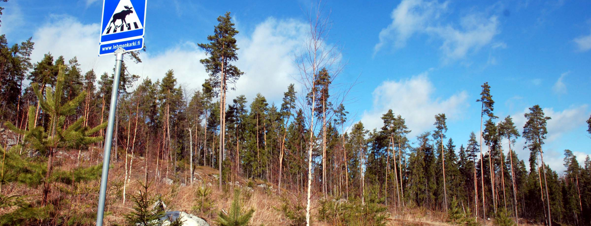 厩R̒Ń`[WItBhΐnJLŕ炷悤ɑ؍݂